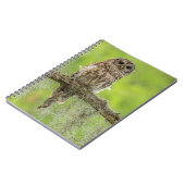 Carnet Hibou rayé sur branche d'arbre (Côté gauche)