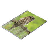 Carnet Hibou rayé sur branche d'arbre (Côté gauche)