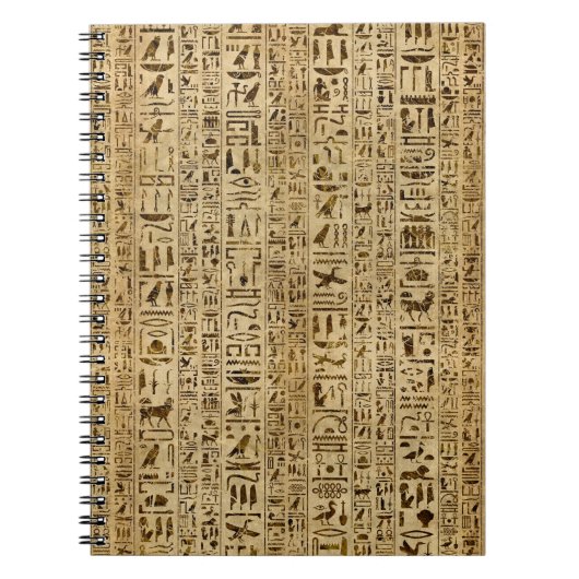 Carnet Hiéroglyphes égyptiens sur le papyrus (Devant)