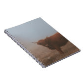 CARNET HIGHLAND CATTTTLE VW (Côté Droit)