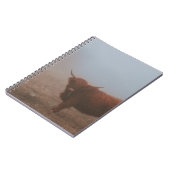 CARNET HIGHLAND CATTTTLE VW (Côté gauche)