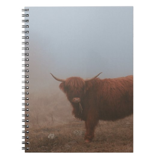 CARNET HIGHLAND CATTTTLE VW (Devant)