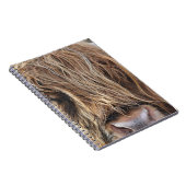 CARNET HIGHLAND CHÂTEAU VACHE FACE (Côté Droit)