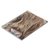 CARNET HIGHLAND CHÂTEAU VACHE FACE (Côté gauche)