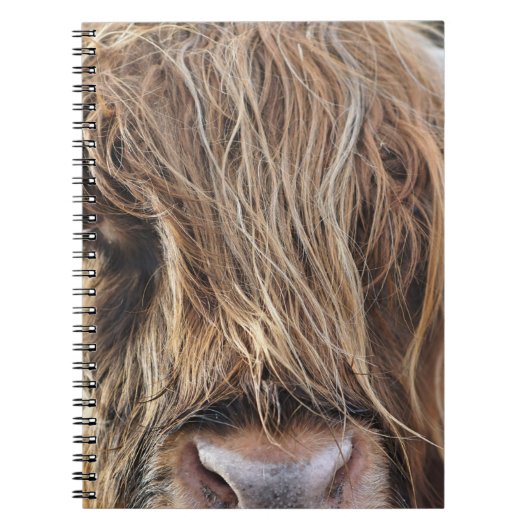 CARNET HIGHLAND CHÂTEAU VACHE FACE (Devant)