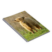 Carnet Highland Cow (Côté Droit)