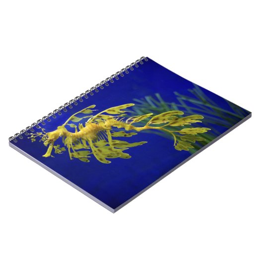 Carnet Hippocampe (Côté gauche)