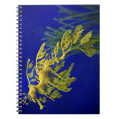Carnet Hippocampe (Devant)