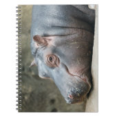 Carnet Hippopotame (Devant)