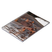 Carnet Hippopotamus, Hippopotamus amphibius, lac (Côté gauche)