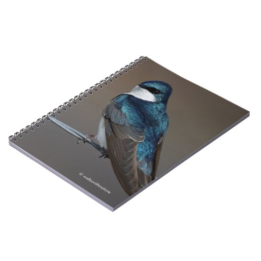 Carnet Hirondelle d'arbre : Oiseau sur un fil (Côté gauche)