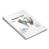 Carnet Histoire de Sealyham Terrier (Côté Droit)
