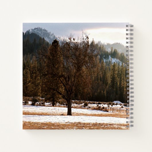 Carnet Hiver..... (Dos)