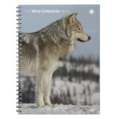 Carnet Hiver - Loup (Devant)