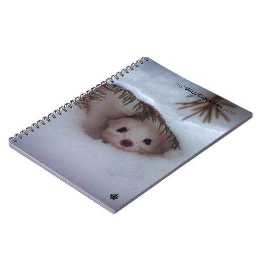 Carnet Hiver - Weasel à queue courte (Côté gauche)