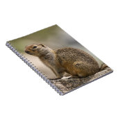 Carnet Hoary Marmot (Côté Droit)