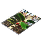 Carnet Holly Leaves (Côté gauche)