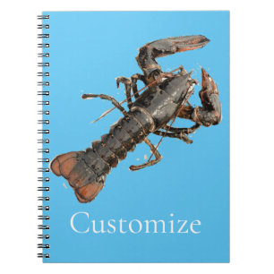 Carnet Homard frais du Maine Thunder_Cove