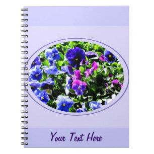 Carnet Home Depot Pansy