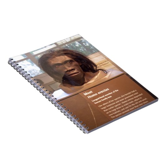 Carnet Homo erectus ; objet exposé de musée (Côté Droit)