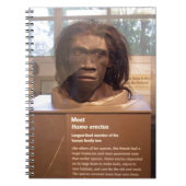 Carnet Homo erectus ; objet exposé de musée (Devant)