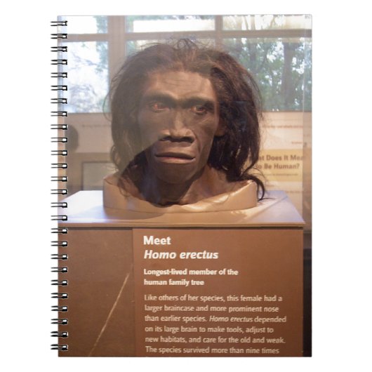 Carnet Homo erectus ; objet exposé de musée (Devant)
