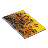 CARNET HONEY BEES (Côté Droit)