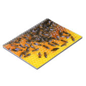 CARNET HONEY BEES (Côté gauche)