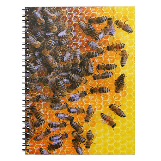 CARNET HONEY BEES (Devant)