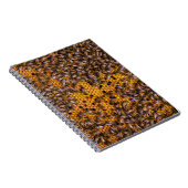 CARNET HONEY BEES (Côté Droit)