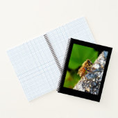 Carnet Honeybee 8,5x11 (Intérieur)