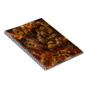 CARNET HONEYBEES 7 (Côté Droit)
