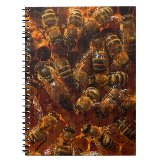 CARNET HONEYBEES 7 (Devant)
