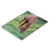 Carnet Hongre d'oseille (Côté gauche)