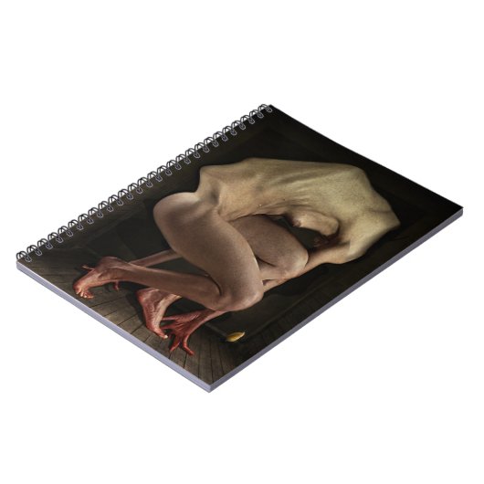 Carnet Honte 2012 (Côté gauche)