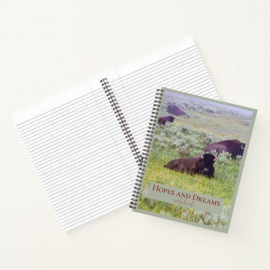 Carnet Hope and Dreams Notebook (Intérieur)