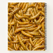 Carnet Horreur des vers déplaisants (Dos)