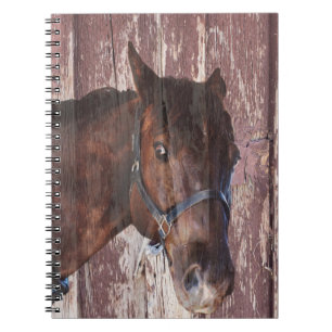 Carnet Horse Head western Regardez dans ses yeux.