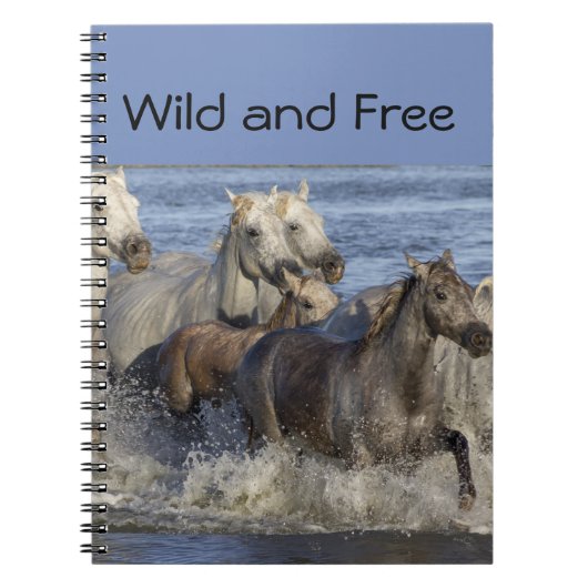 Carnet Horses galloping in the water (Devant)