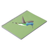 Carnet Hovering Jacobin Hummingbird - transparent. (Côté gauche)