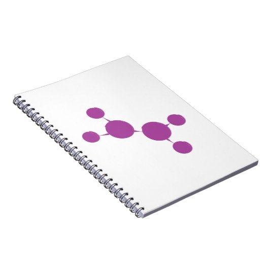 Carnet https://www.quintoandar.com.br/imovel/893426690/co (Côté Droit)