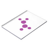 Carnet https://www.quintoandar.com.br/imovel/893426690/co (Côté gauche)
