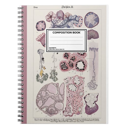 Carnet Human Tissue Histology Atlas Notebook (Devant)