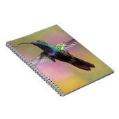 Carnet Humming Bird (Côté Droit)