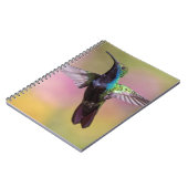 Carnet Humming Bird (Côté gauche)