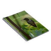 Carnet Hummingbird on Branch (my photography) (Côté Droit)