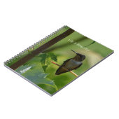 Carnet Hummingbird on Branch (my photography) (Côté gauche)