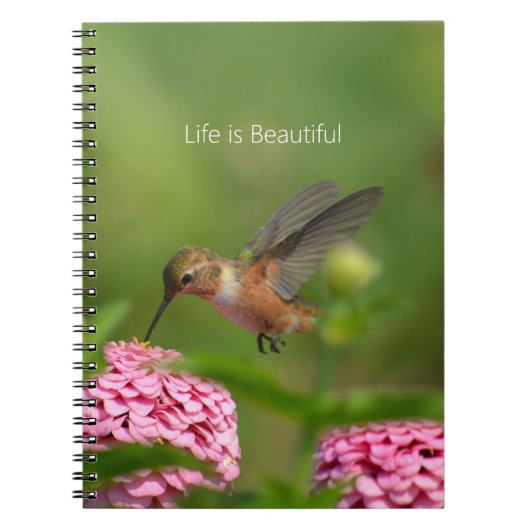 Carnet Hummingbird Pink Zinnia Flowers (my photography) (Devant)
