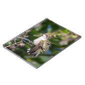 Carnet Hummingbird Sanctuary Professional Photography (Côté gauche)