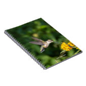 Carnet Hummingbird Sanctuary Professional Photography  (Côté Droit)